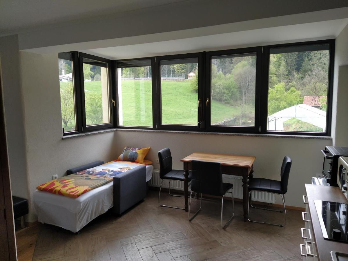 Apartmaji Maln Dolenjske Toplice Zewnętrze zdjęcie
